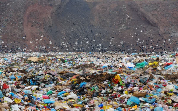 Household dust on a city dump