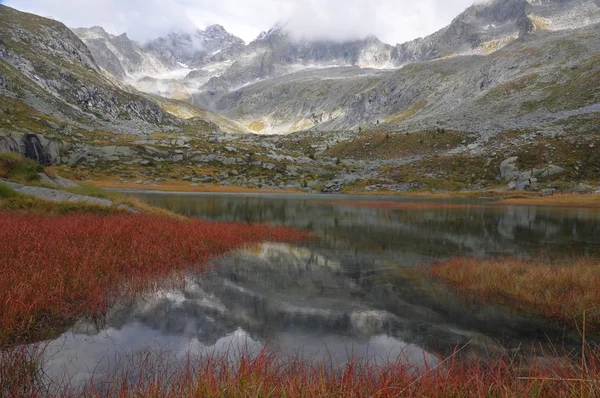 hdr mountain with lake and red reeds