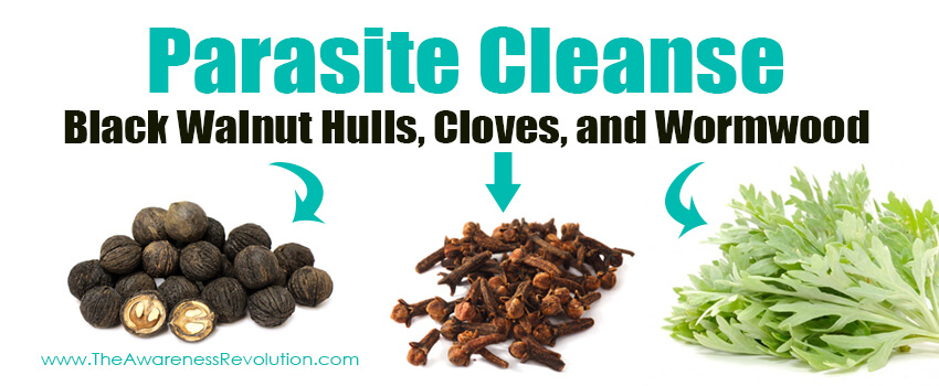 Black Walnut Hulls, Cloves, and Wormwood