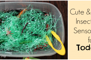 Cute & Simple Insect Find Sensory Bin