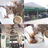 NOLA + Gulfport + Beignets Galore!