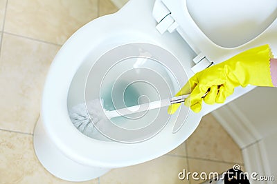 Flush toilet. Cleaning