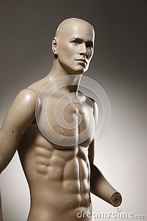 Male mannequin torso