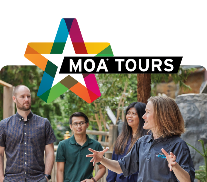 MOA Tours