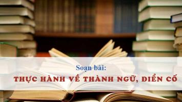 Bài soạn Thực hành về thành ngữ, điển cố (Ngữ Văn 11) hay nhất