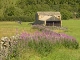 Yorkshire Dales