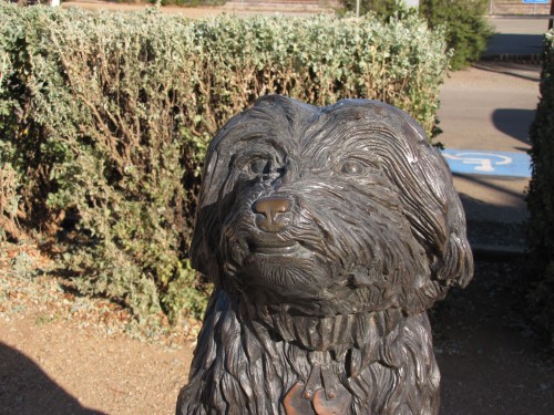 Bob the Railway dog in front of the Visitor Centre, Peterborough