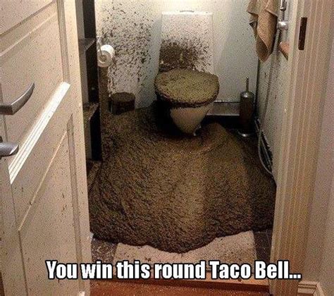 You Win This Round Taco Bell... (With images) | Clean funny memes ...