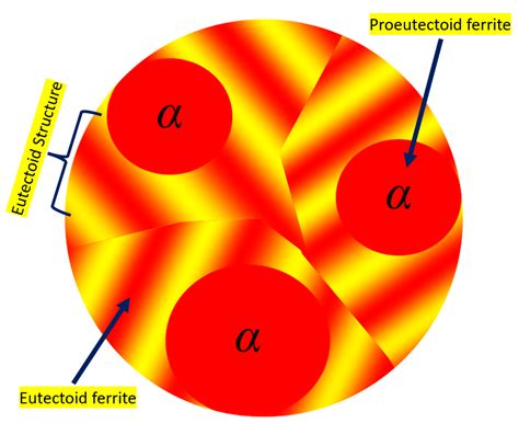 In hypoeutectoid steel, both eutectoid and proeutectoid ferr | Quizlet