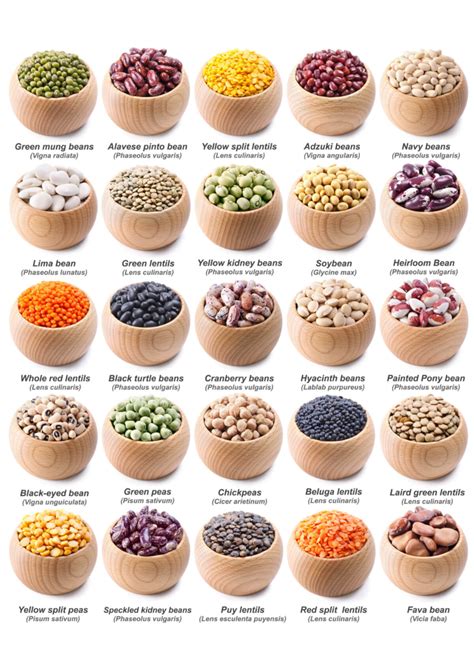 Legumes 101: Everything You Need to Know About Legumes | Recipe | Food ...