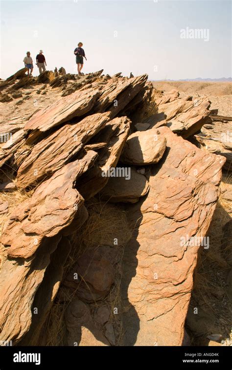 The Badlands a metamorphic mica schist formation of bedrock outcropping ...