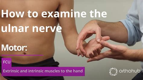 How to examine the ulnar nerve - watch orthohub examinations with UK ...