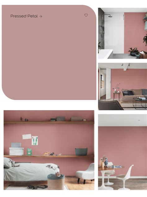 What Colours Go With Dulux Pressed Petal? - Sleek-chic Interiors