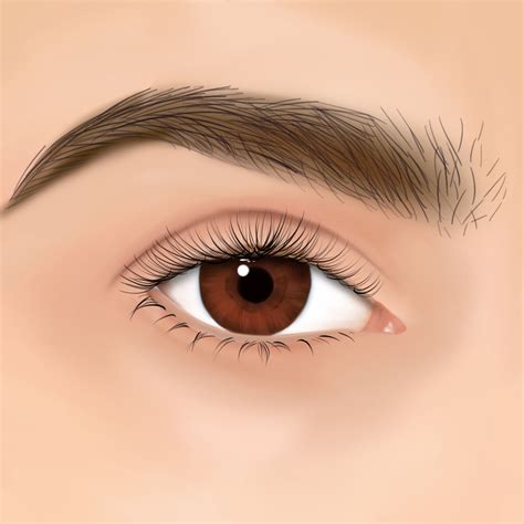 Brown eyes drawing