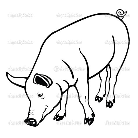 Black And White Pig Clipart | Free download on ClipArtMag