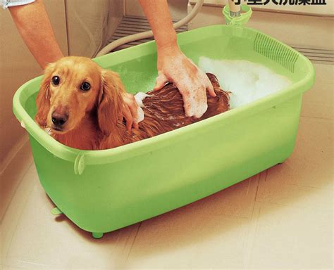 China 2018 Plastic Dog SPA Wash Bath Tub/Bathtubs for Small Pets ...