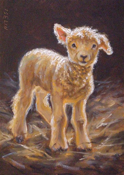 Mary Iselin Fine Art - Sheep & Lamb Paintings Sheep Paintings, Animal ...