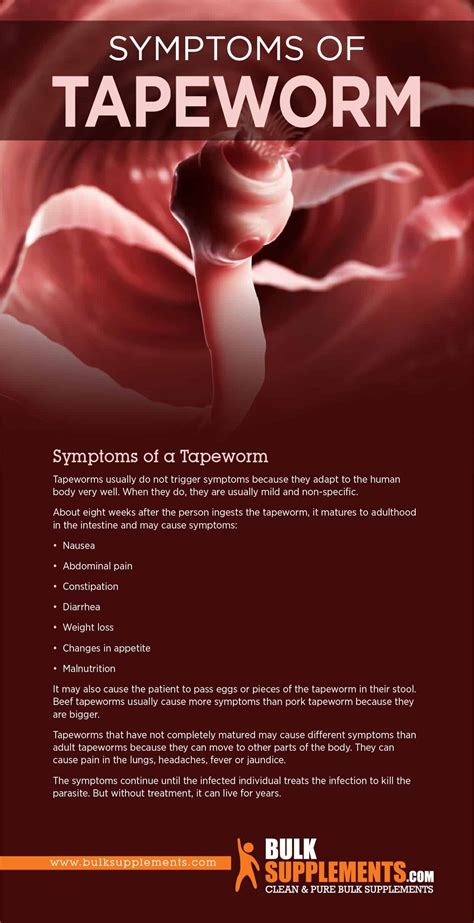 Tapeworm Segments In Human Stool