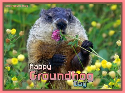 Groundhog Day Quotes. QuotesGram