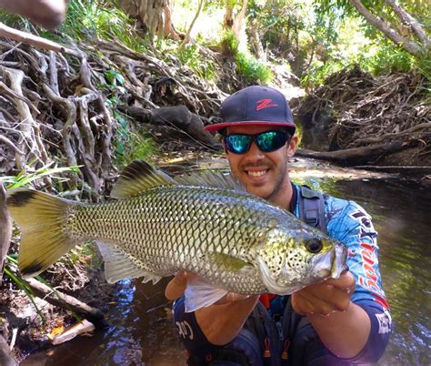 Jungle Perch Caught with 5 lb Platinum Plus Braid