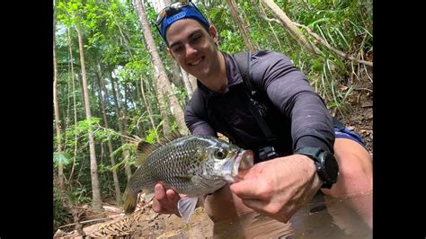 Jungle Perch Fishing North Queensland - YouTube