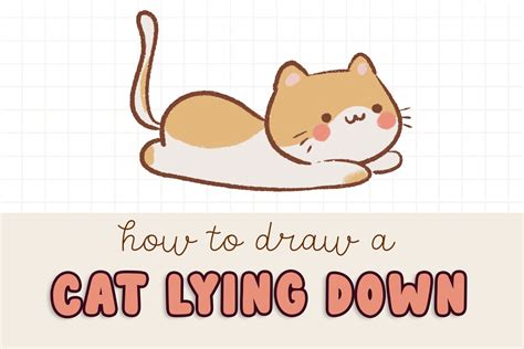 How To Draw A Cat Laying Down