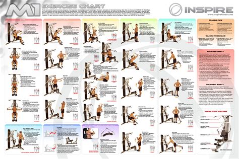 Inspire Fitness Downloads | Workout chart, Gym workout chart, Weight ...