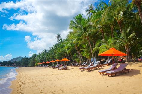 25 Best Things to Do in Koh Samui - The Crazy Tourist | Koh samui, Koh ...