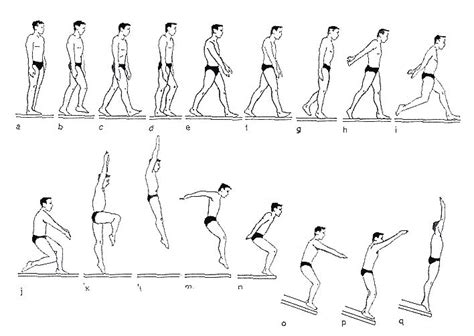 Épinglé par Zone Total Sport sur Schéma | Plongeon