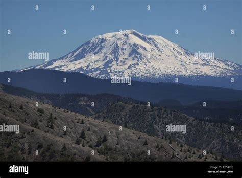 Mount Adams Volcano washington Stock Photo - Alamy