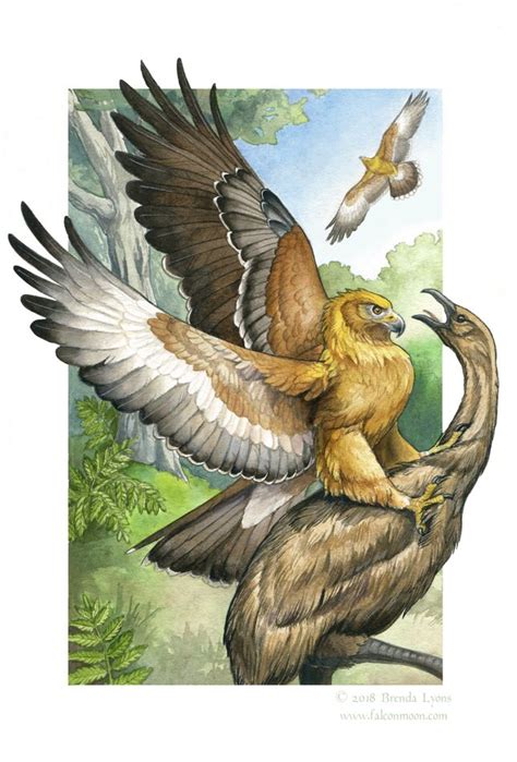 Haast's Eagle - Sixth Extinction Deck by windfalcon | Prehistoric ...