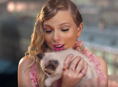 Taylor Swift New Cats Song