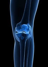 Patellar Tracking Syndrome | Anderson Chiropractor, Anderson SC ...