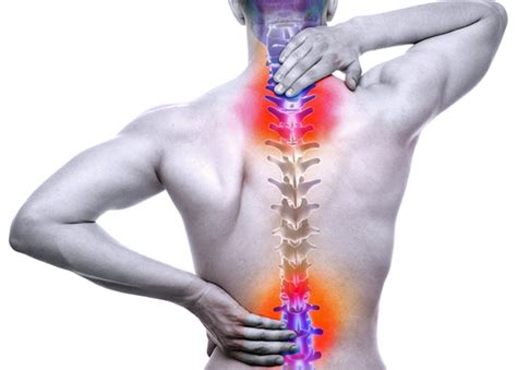 Spinal Cord Injury - Diganosis, Symptoms, Treatment and Rehabilitation