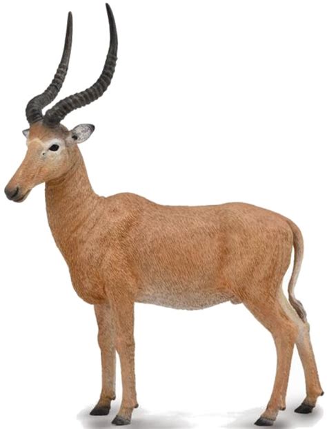 CollectA Wildlife - Hirola #88757 - Tall Wavy Horns