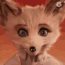 Kristofferson Silverfox GIF - Kristofferson Silverfox Fantastic Mr Fox ...