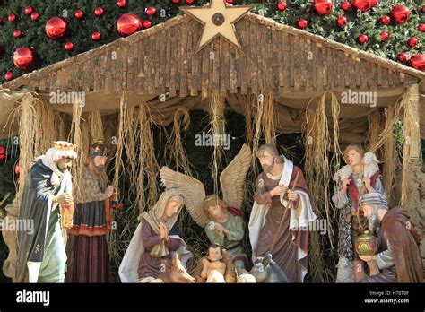 Christmas in Bethlehem, Nativity scene by the Christmas tree in Manger ...