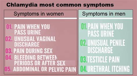 Chlamydia infection , what are the common symptoms? - Helal Medical