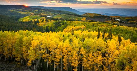 Photograph Fall Colors on Grand Mesa, Skyway Point