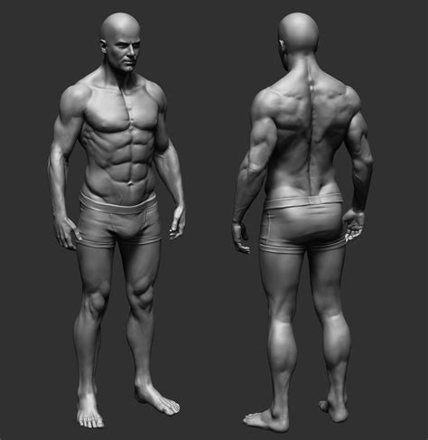 ArtStation - Anatomy practice, Pavel Protasov Human Body Drawing, Male ...