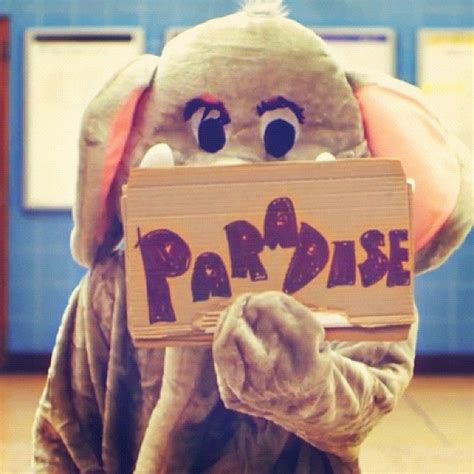 paradise elephant coldplay | Coldplay paradise, Coldplay, Coldplay ...