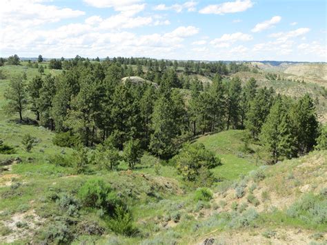 4,500 acres in Garfield County, Montana