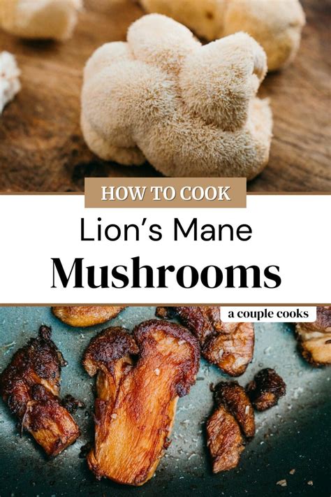 Lion s mane mushrooms – Artofit