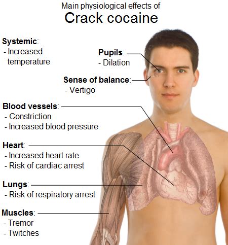 Crack Cocaine - Main Physiological Effects (Image) | Medicalchemy ...