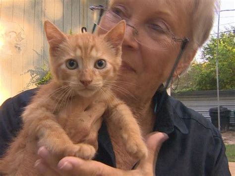 Feral Cat Rescue Gets a Much Needed Helping Hand