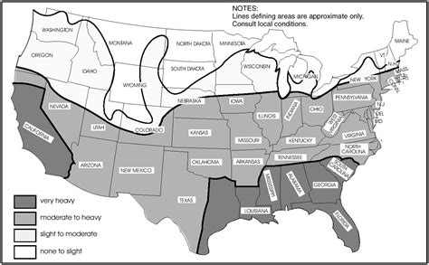 Home Remedies For Termites: Cabo Termite Infestation Probability Map