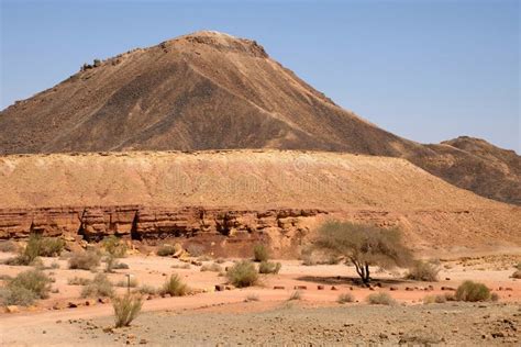 Negev desert landscape. stock image. Image of landscape - 100976457