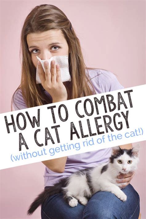 Shop by Category | eBay | Cat allergies, Cat allergies relief, Allergic ...