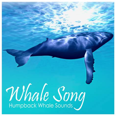 Listen Free to Whale Song - Humpback Whale Sounds Radio | iHeartRadio