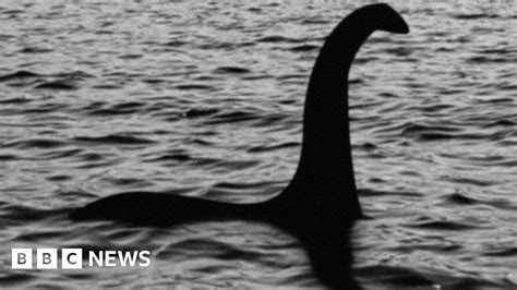 Loch Ness Monster may be a giant eel, say scientists - BBC News